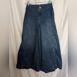 Maeve Dark Blue Wide-Leg Flare Jeans Size 25